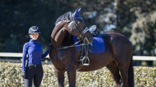 LEMIEUX LeMieux Suede Dressage Square Saddle Pad Ink Blue LEMIEUX LeMieux Suede Dressage Square Saddle Pad Ink Blue