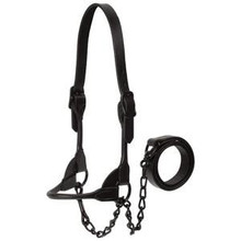 Weaver Black Magic Livestock Show Halter Large