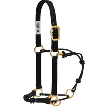 WEAVER Weaver Leather Nylon Horseman's Halter With Side Ring WEAVER Weaver Leather Nylon Horseman's Halter With Side Ring
