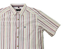 Ariat Men's Pro Neil Key Largo Blue Stripe Shirt