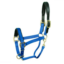 INTREPID Padded Breakaway Halter Cob INTREPID Padded Breakaway Halter Cob