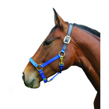 INTREPID Padded Halter Horse INTREPID Padded Halter Horse
