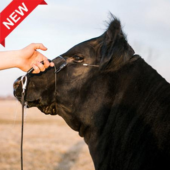 SULLIVAN'S  Phantom Cable Cattle Halter With Ghost Grip 