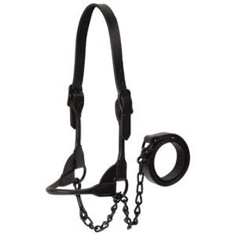 WEAVER Weaver Black Magic Livestock Show Halter Large 