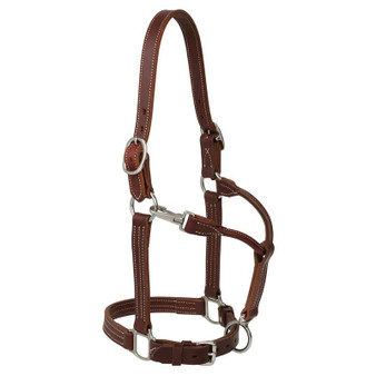 WEAVER Weaver Equine Canyon Rose 1" Ranch Horse Halter 
