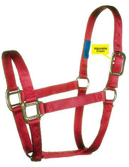  FABTRON NYLON FELT LINED HALTER MARE/ARABIAN N3-50BF 