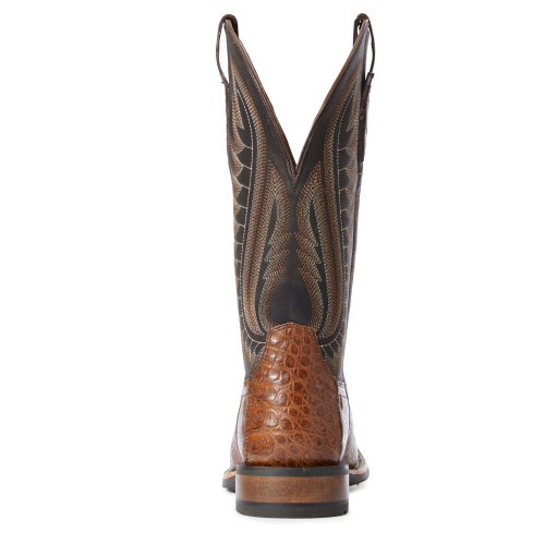 ariat gator boots