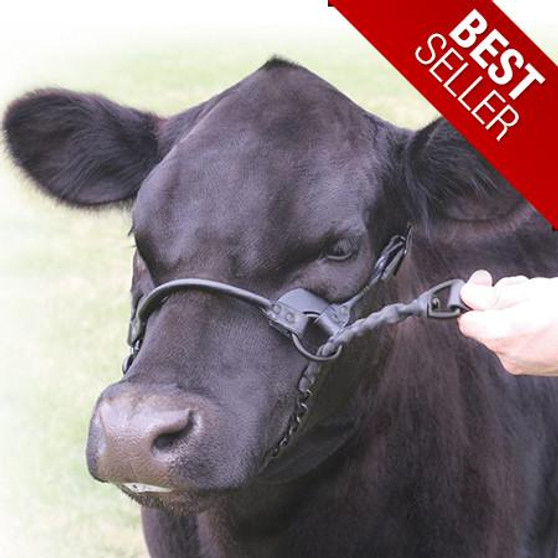 SULLIVAN'S  Sullivan's 1ST Class Cattle Show Halter Leather 