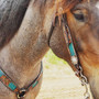 CIRCLE Y OF YOAKUM Circle Y Inlaid Turquoise Gator Print Browband Headstall Pony Size   CIRCLE Y OF YOAKUM Circle Y Inlaid Turquoise Gator Print Browband Headstall Pony Size