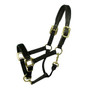 INTREPID Intrepid Large Padded Halter  