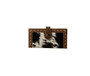 MYRA BAGS Myra Women's Multicolor Bayou Leather & Hairon Hide Wallet 