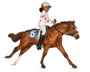 BREYER Cheryl White Rider, Horse, and Book Set 
