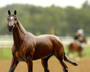 BREYER Breyer's Cody's Wish 