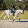 HORZE Annika Women's Silicone Knee Patch Breeches Hunter Green 