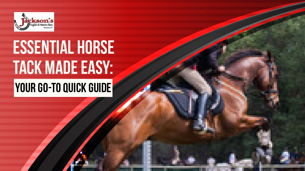 Essential Horse Tack Made Easy: Your Go-To Quick Guide - Jackson's Western