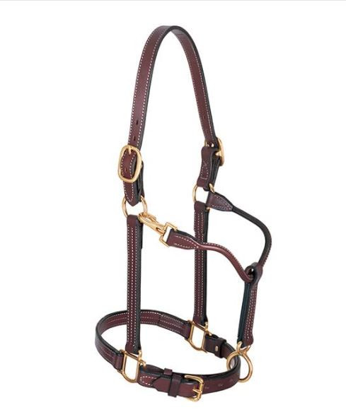 Tory Cob Size Leather Halter