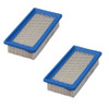 Briggs & Stratton 691643 Air Filters 2 Pack