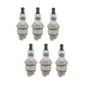 Briggs & Stratton RJ19LM Spark Plug 6 Pack