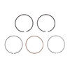 Briggs & Stratton 791787 Ring Set