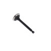 Homelite A100751 Valve Intake