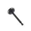 Homelite 12121-Z010120-0000 VALVE EXHAUST