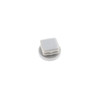 Homelite 529330001 Plug For 22Mm Steel Tube End