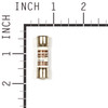 Briggs & Stratton 205110GS Fuse