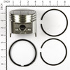 Briggs & Stratton 792367 Piston-Assy-020