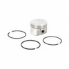 Briggs & Stratton 555673 Piston Assembly-010