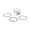 Briggs & Stratton 555673 Piston Assembly-010