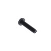 Dewalt 330045-15 Screw