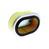 Honda 17210-ZE3-306 Air/C (Du Element