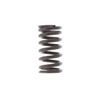Honda 14751-ZY6-003 In. Valve Spring
