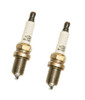 Briggs & Stratton 491055S Spark Plug 2 Pack