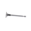 Homelite 12110Z2401100000 Valve