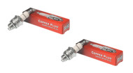 Champion 844 Spark Plug 2 Pack