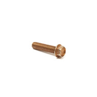 Briggs & Stratton 555736 Screw