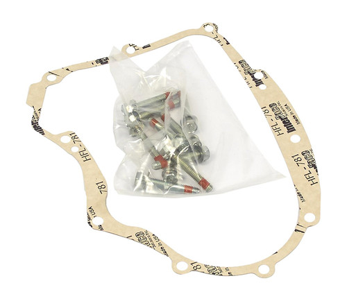 Briggs & Stratton 594195 Gasket-Crankcase Kit