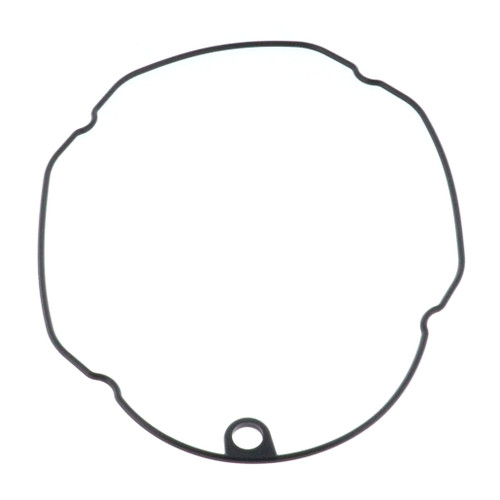 Ryobi 079077051013 Cylinder Cap Seal