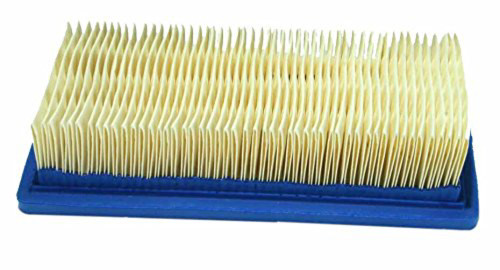 Briggs & Stratton 491384 Filter-A/C Cartridge