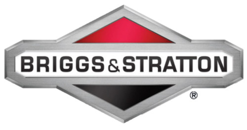 Briggs & Stratton 48X6000ma Dec, Elect Start 22"