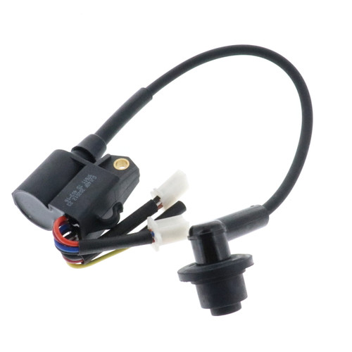 Homelite 850202008 Ignition Module Ryi2322E- Lihu