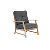 Layla Lounge Chair with Carbon Cushion [Carbon]