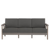 Chloe Sofa with Carbon Cushion in Coastal Grey Finish [Carbon][Coastal Grey]