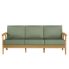 Chloe Sofa with Aloe Cushion in Teak Finish[Aloe][Teak]