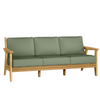 Chloe Sofa with Aloe Cushion in Teak Finish[Aloe][Teak]