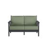 Chloe  Loveseat with Aloe Cushion in Black Finish[Aloe][Black]