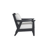 Chloe Lounge Chair with Canvas Birdseye Cushion in Black Finish [Canvas Birdseye][Black]