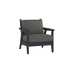 Chloe Lounge Chair with Carbon Cushion in Black Finish [Carbon][Black]