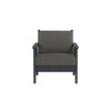 Chloe Lounge Chair with Carbon Cushion in Black Finish [Carbon][Black]